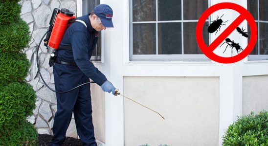 Aydıntepe Fare İlaçlama böcek ilaçlama ve haşere kontrolü — ilaclama-tr.com